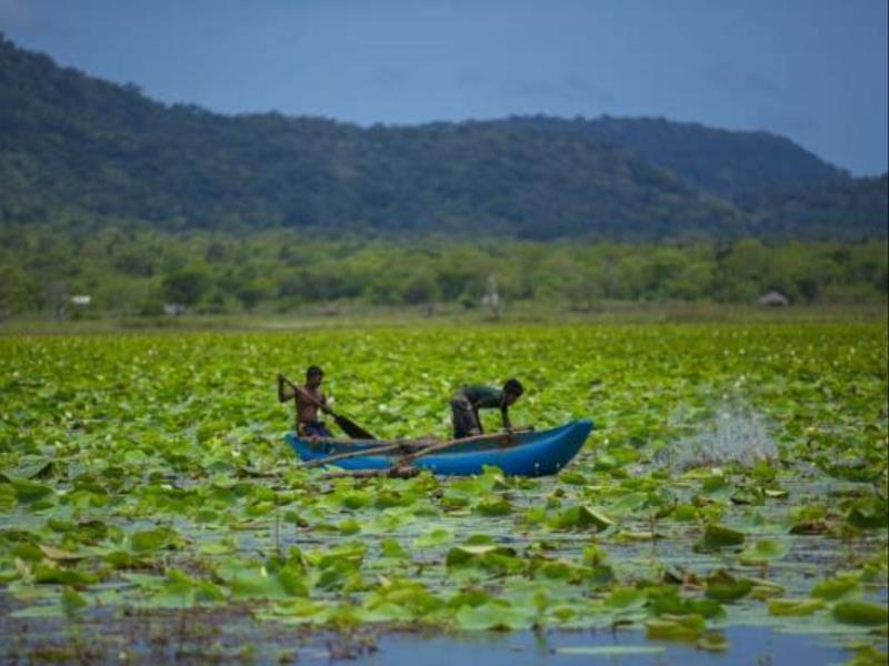 Grand Tamarind Lake كاتاراغاما المظهر الخارجي الصورة